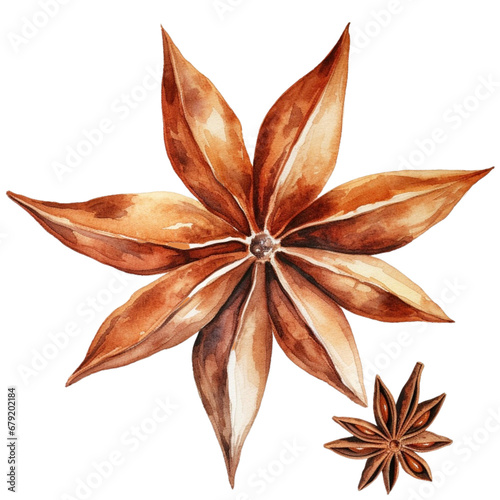 watercolor of star anise , spices clipart for graphic resources