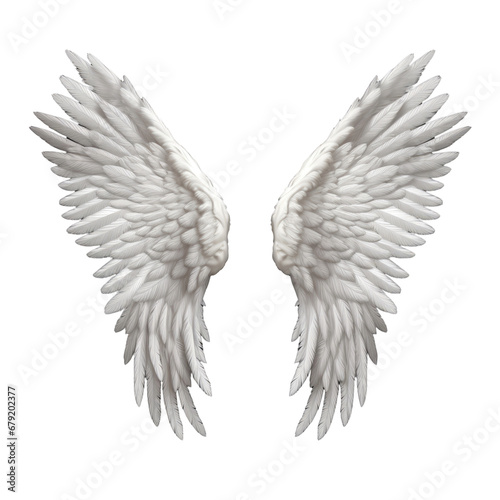 White wings on transparent background