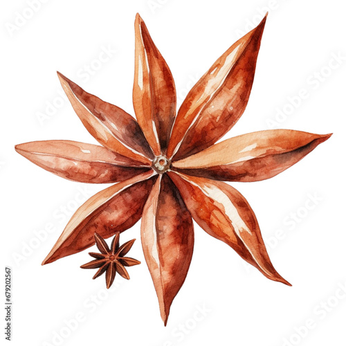 watercolor of star anise , spices clipart for graphic resources