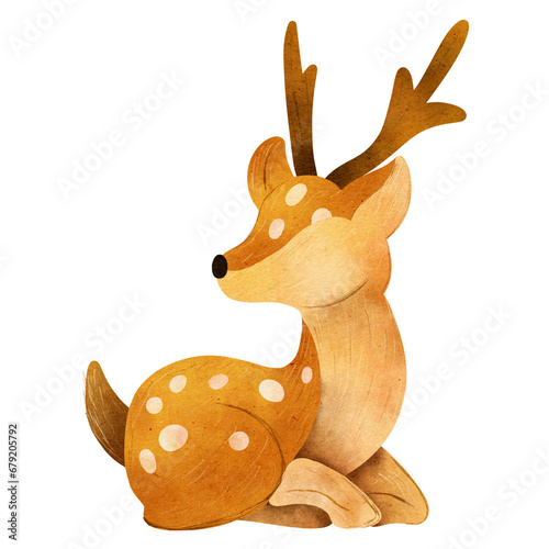 deer Illustration