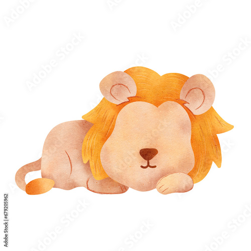 lion Illustration