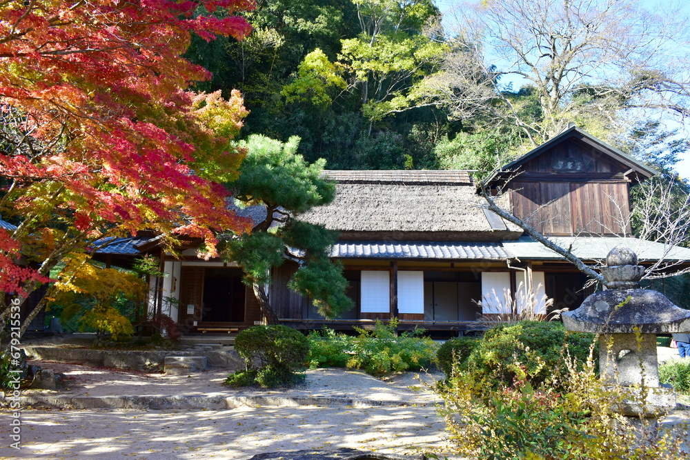 秋　紅葉　岡山　近水園