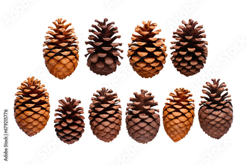 a collection of pinecones isolated on a transparent background, generative ai