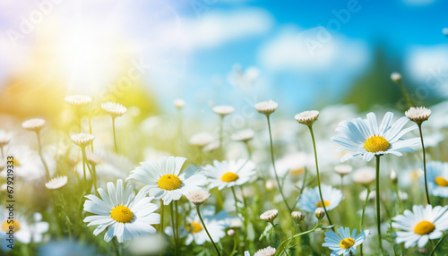 meadow with daisies generating by AI technology