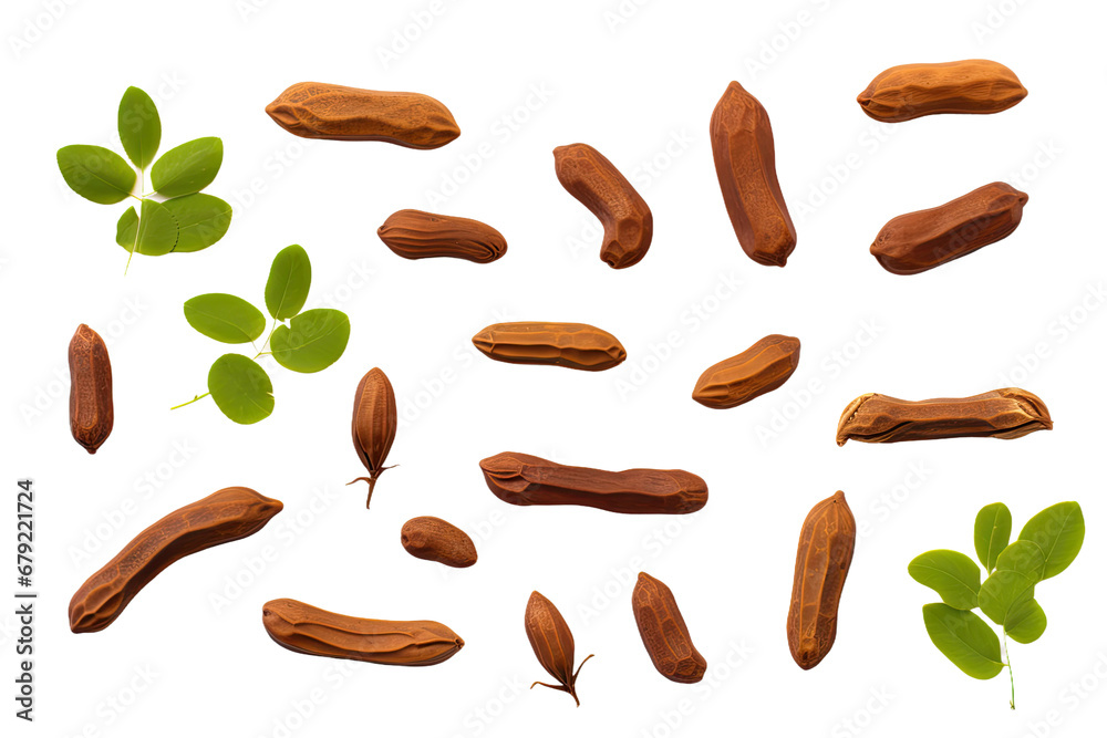 a collection of tamarind isolated on a transparent background, generative ai a collection of tamarind isolated on a transparent background, generative ai