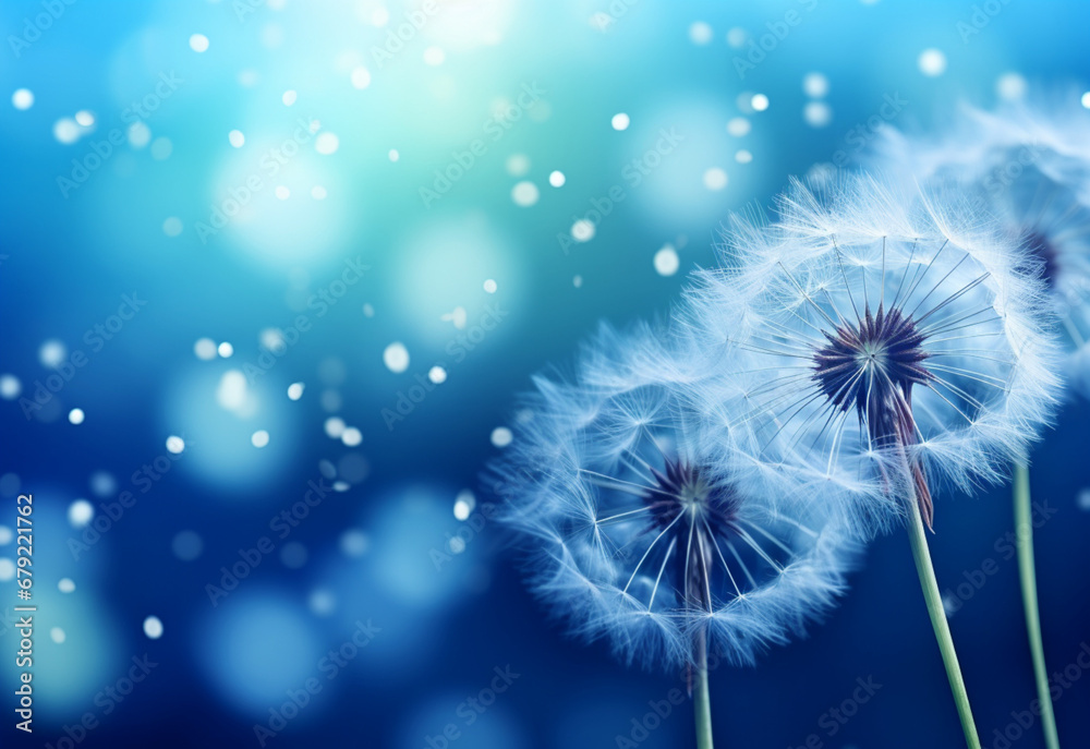 dandelion generating by AI technology dandelion generating by AI technology