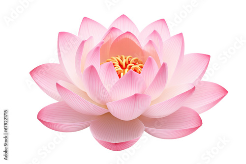 a lotus flower isolated on a transparent background, generative ai #679221715