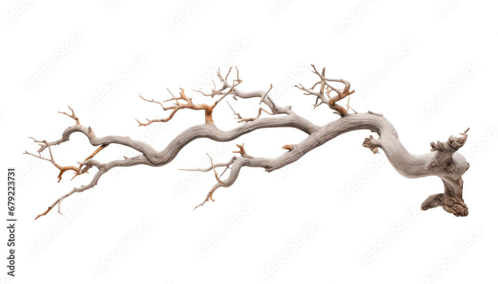 dead branch isolated on transparent background cutout dead branch isolated on transparent background cutout