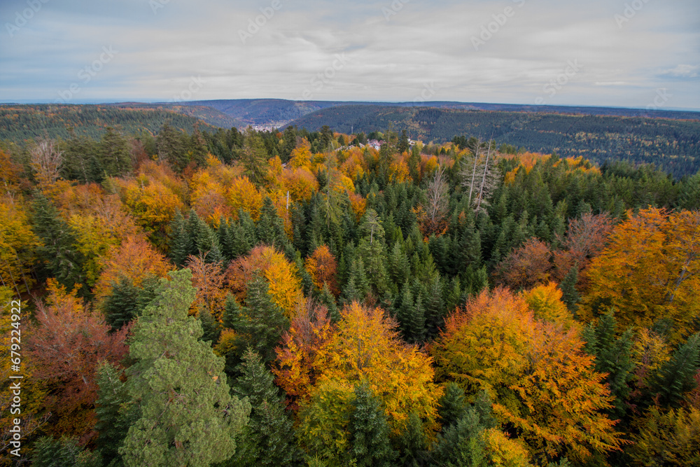 View over the black forest during autumn from the tower of the tree top path, Bad Wildbad, Black Forest, Germany