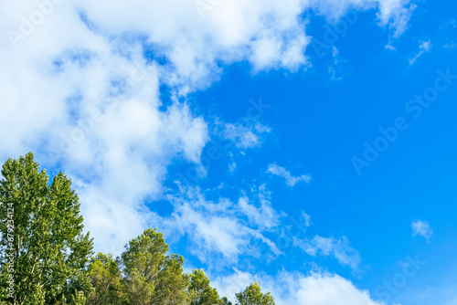green trees isolated against blue sky. beautiful summer landscape with a place for an inscription. © PopOff