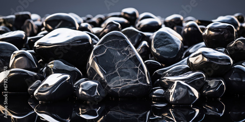 Black shiny rocks create a backdrop of sleek, natural elegance, their surfaces reflecting light in a play of shadows
