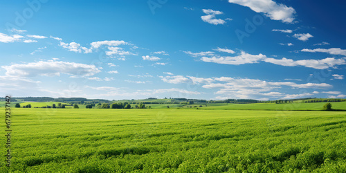 Green field basks in the sunlight  a vast expanse of vibrant life under the open sky