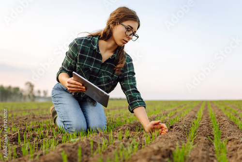 A woman agronomist examines new sprouted shoots in the field using a digital tablet. Woman farmer working with a modern tablet on a green field. © maxbelchenko