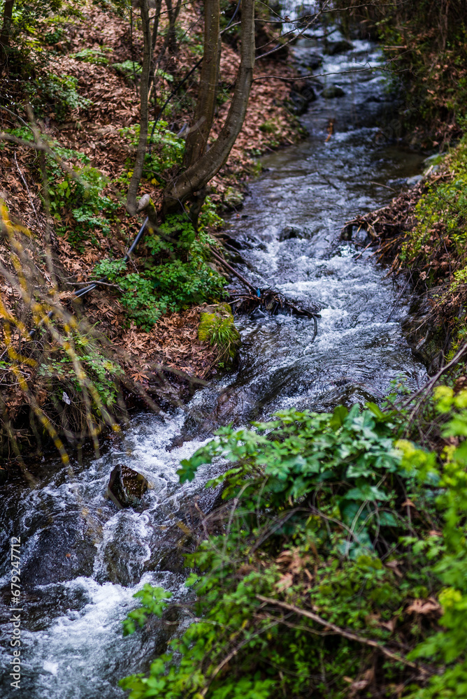 The river meanders gracefully, embraced by a vibrant tapestry of green and orange leaves. Nature's palette transforms the water's edge into a serene symphony of autumnal hues The river meanders gracefully, embraced by a vibrant tapestry of green and orange leaves. Nature's palette transforms the water's edge into a serene symphony of autumnal hues