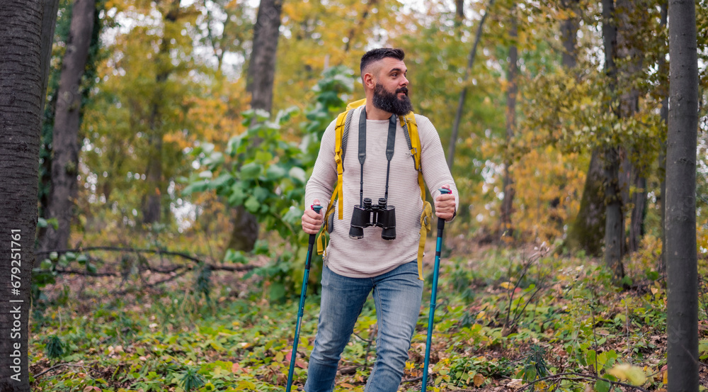 In the midst of an autumn hike, a bearded man, a hiker with a backpack and hiking poles, explores the woodland landscape.