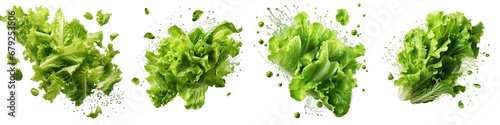 Falling lettuce salad leaves Hyperrealistic Highly Detailed Isolated On Transparent Background Png File photo