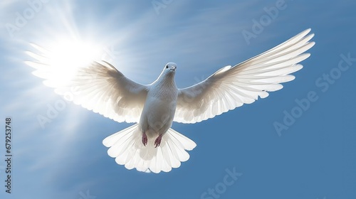 White doves and bright lights in the sky as a peace and spiritual symbol of Christian people. Holy spirit symbol.