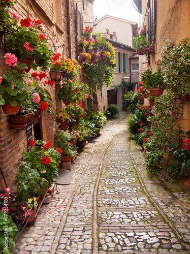 Italia, Umbria, il paese di Spello, una strada fiorita.