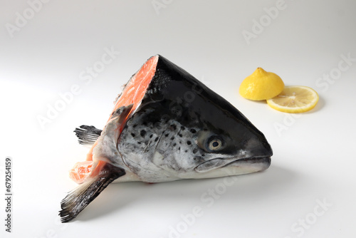 Salmon head, white background