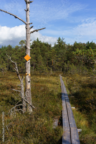 Wooden duckboard hiking trail across the swamp in Kurjenrahka National Park, Finland. photo