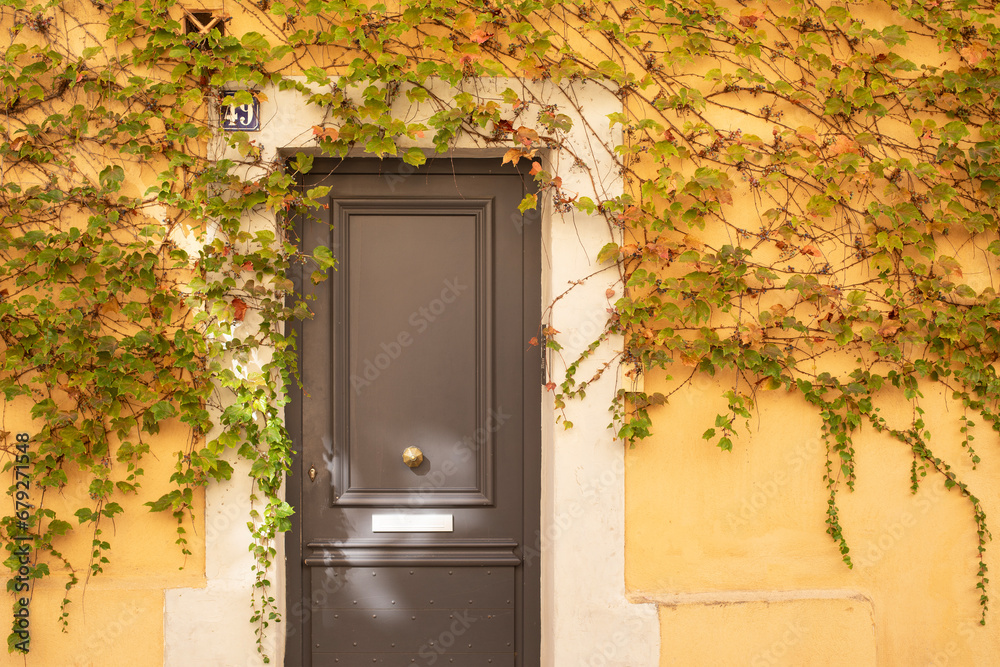 Porte en bois marron d'entrée de maison entourée de vigne vierge sur un mur ocre jaune dans une ruelle d'une ville du sud. - obrazy, fototapety, plakaty 