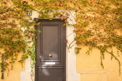 Porte en bois marron d'entrée de maison entourée de vigne vierge sur un mur ocre jaune dans une ruelle d'une ville du sud.
