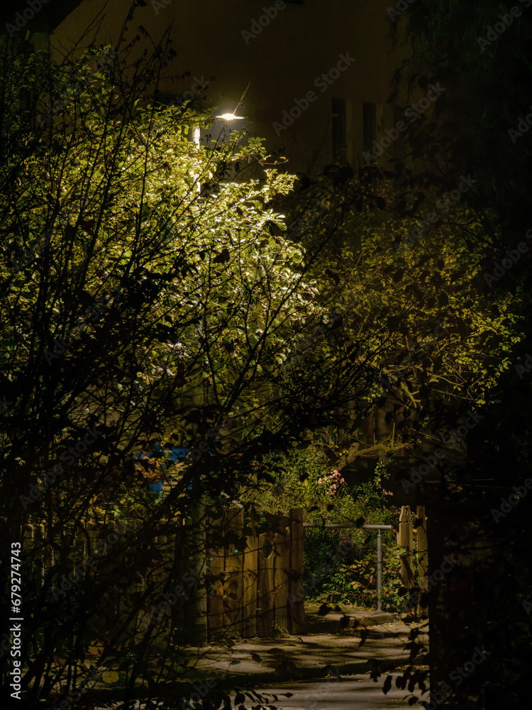 Herbststimmung, Marburg, Straßenbeleuchtung Nachts