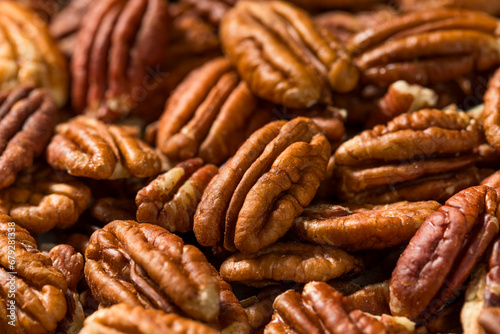 Raw Organic Dry Pecan Nuts