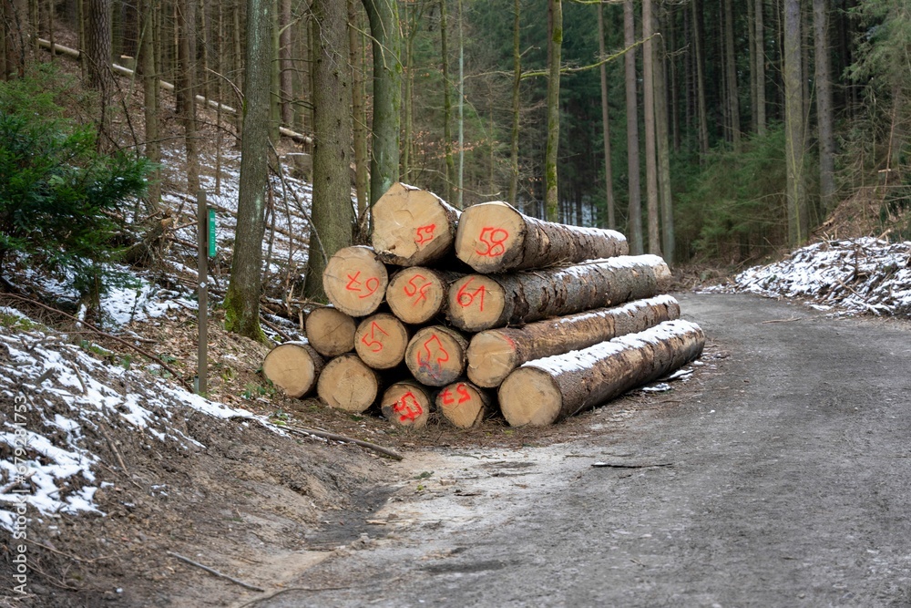 Pile of freshly cut and numberes logs arranged along the side of a country road Pile of freshly cut and numberes logs arranged along the side of a country road
