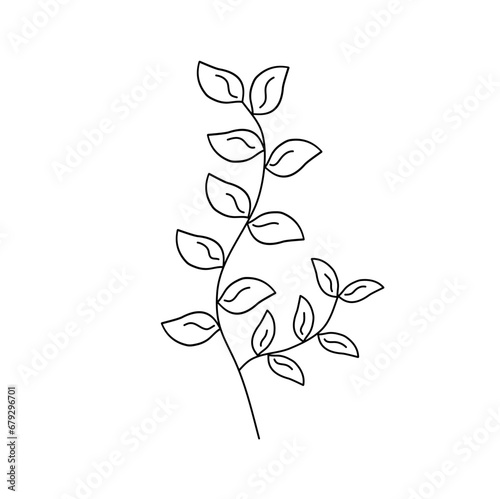 Hand Drawn Twigs And Leaves