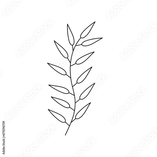 Hand Drawn Twigs And Leaves
