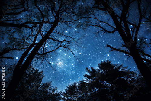 Night sky over rural landscape. Beautiful night starry sky  high ISO landscape.