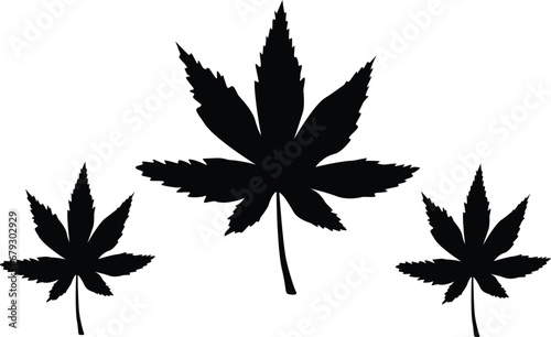 leaf vector illustration.
