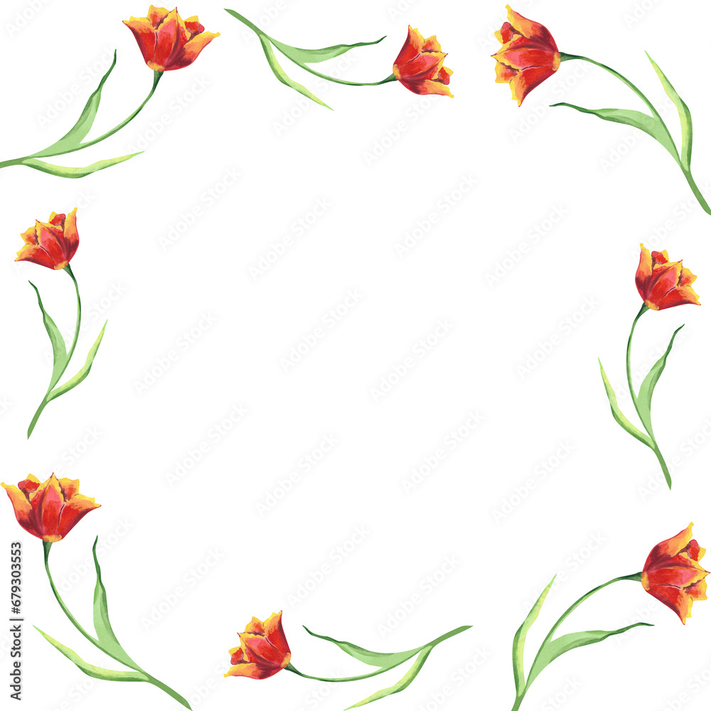 Template for frame with red tulips Hand drawn watercolor illustration Colorful spring flowers for greeting cards on white isolated background Floral illustration for Mother's day, Women's day  2024
