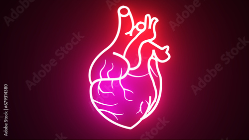 Glowing red and purple neon human heart. Human blood circulation system heartbeat anatomy animation concept. Beating glowing human heart.