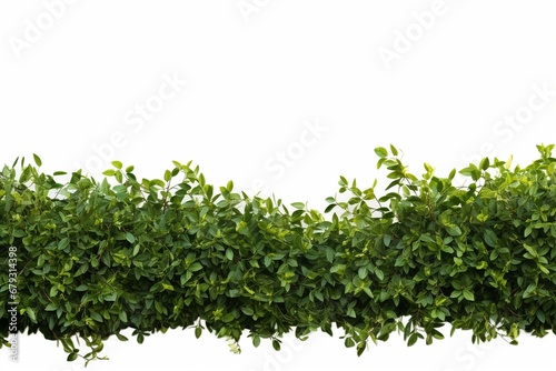 A green hedge with leaves in a background, in the style of minimalist brush work
