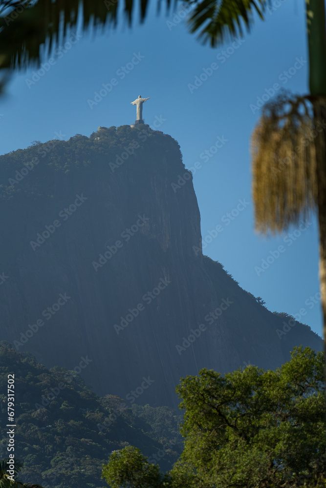 Rear View of Christ the Redeemer in Rio de Janeiro Framed by Palm Tree