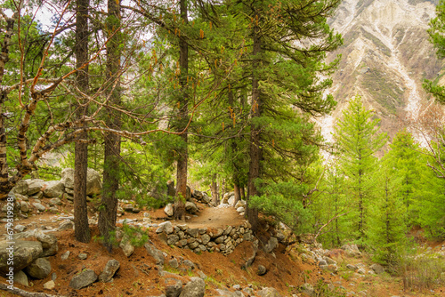 Country road or trekking trail to Gaumukh a religious place where river Ganges originates from Gangotri Glacier at Uttarakhand. photo