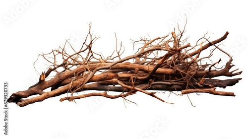dry branches pile for fire on dirt isolated on white background photo