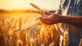 A farmer in a wheat field holds ears of wheat. Generative AI,