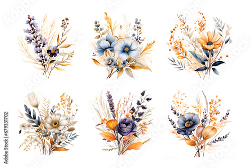 Dried flowers watercolor clipart herbarium wild plants isolated
