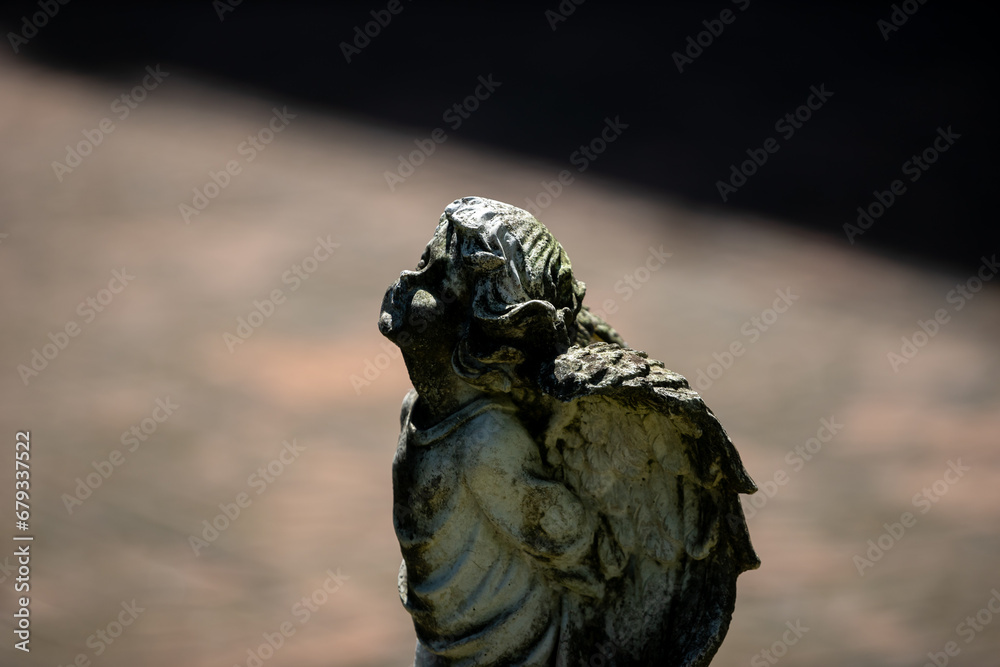 Fototapeta premium Angel statue still life
