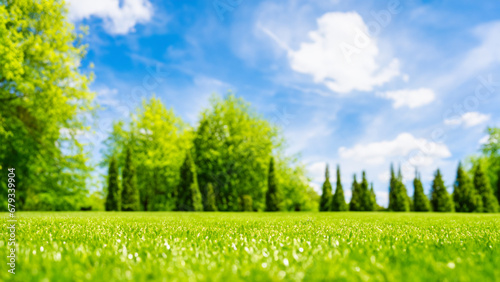 Green grass and blue sky with white clouds. Natural background with copy space.