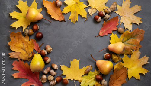 frame of yellow maple leaves red oak leaves pear and acorns