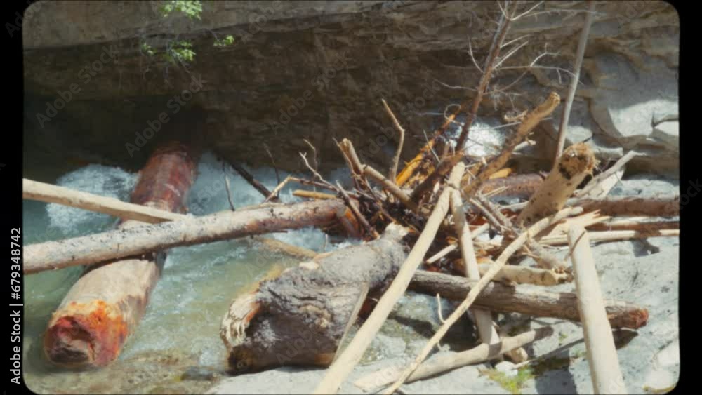 Pile of fallen trees lying on the flowing river. Vintage Film Look. Pile of fallen trees lying on the flowing river. Vintage Film Look.
