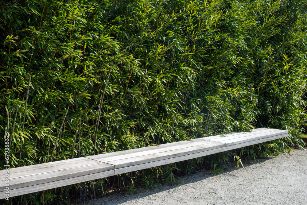 Fototapeta premium Bench with bamboo in the public garden. Beautiful natural park in the summer. Simple wooden bench in Japanese style in an outdoor park on a sunny day
