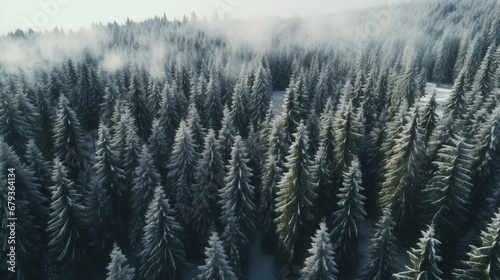 Natural winter landscape aerial drone top view.. Winter season weather