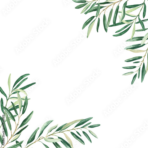 Olive tree square frame, border. Olive branches corners. Hand drawn watercolor botanical illustration isolated on white background. Can be used for cards, logos and food design.