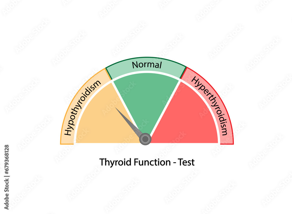 Thyroid function test, Thyroid gland. Hypothyroidism and