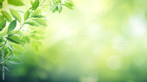Delicate fresh green spring background with leaves and beautiful bokeh